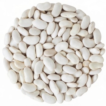 Fasola Jaś karłowy